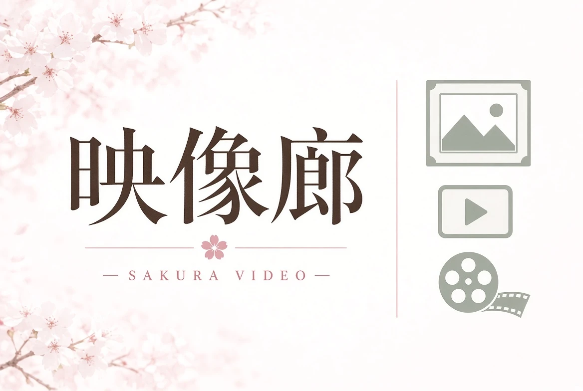 影视导览内容